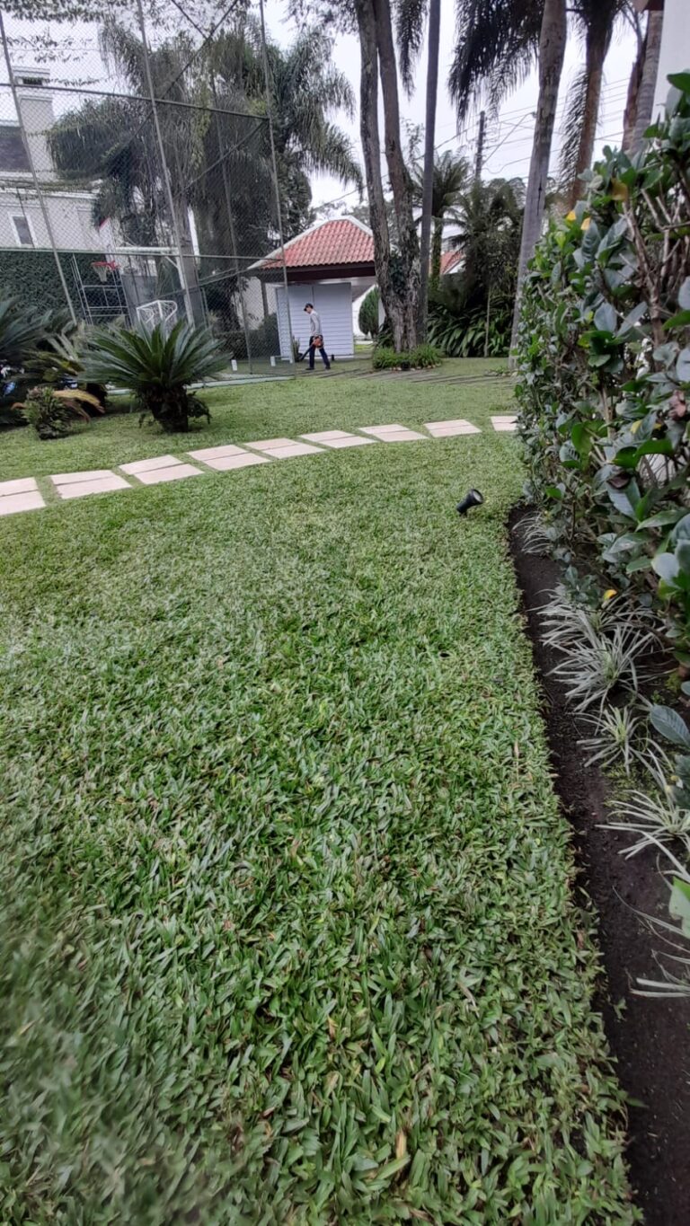 WhatsApp Image 2026-02-18 at 11.22.12 (1)