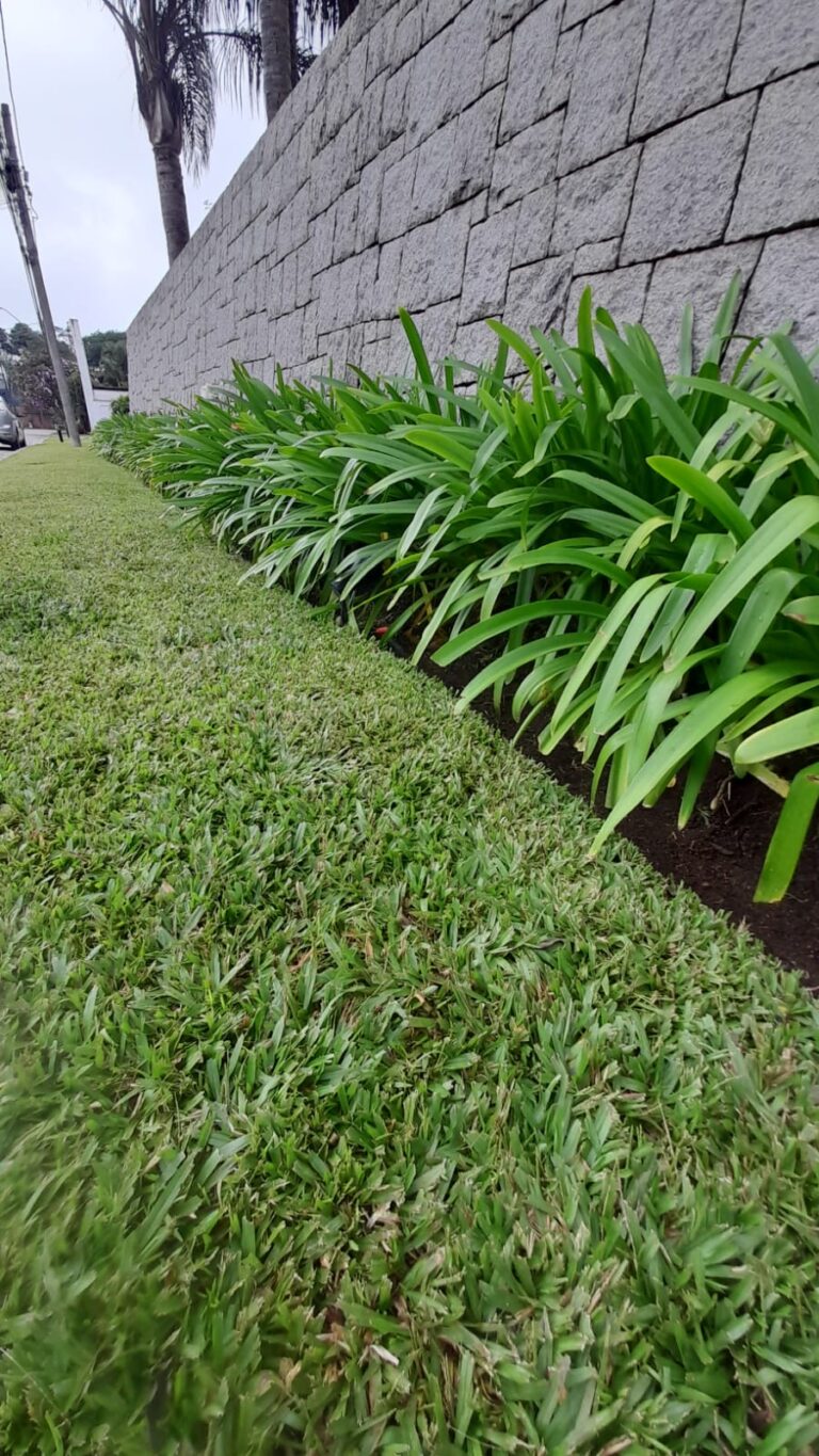 WhatsApp Image 2026-02-18 at 11.22.12