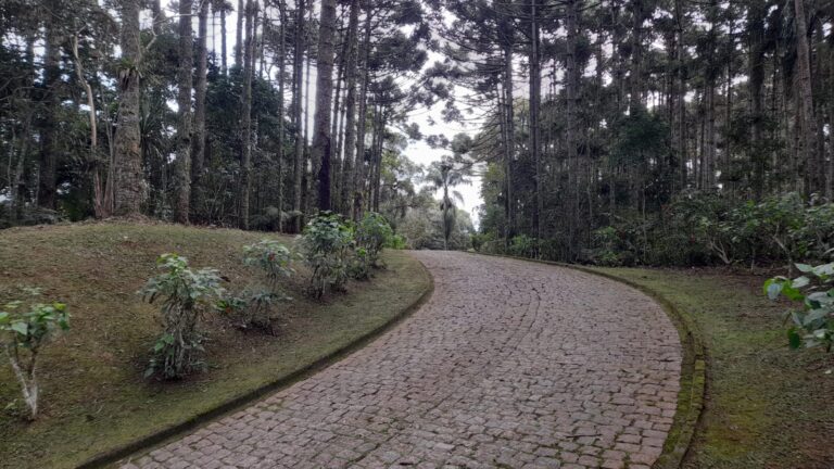 WhatsApp Image 2026-02-18 at 11.22.13 (1)