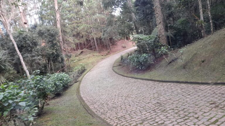 WhatsApp Image 2026-02-18 at 11.22.13 (2)