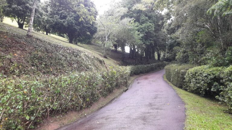 WhatsApp Image 2026-02-18 at 11.22.13 (3)