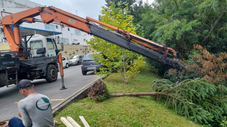 WhatsApp Image 2026-02-18 at 11.22.14