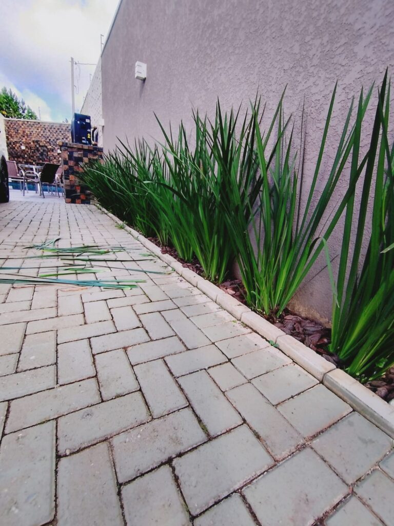 WhatsApp Image 2026-02-23 at 13.20.00 (1)