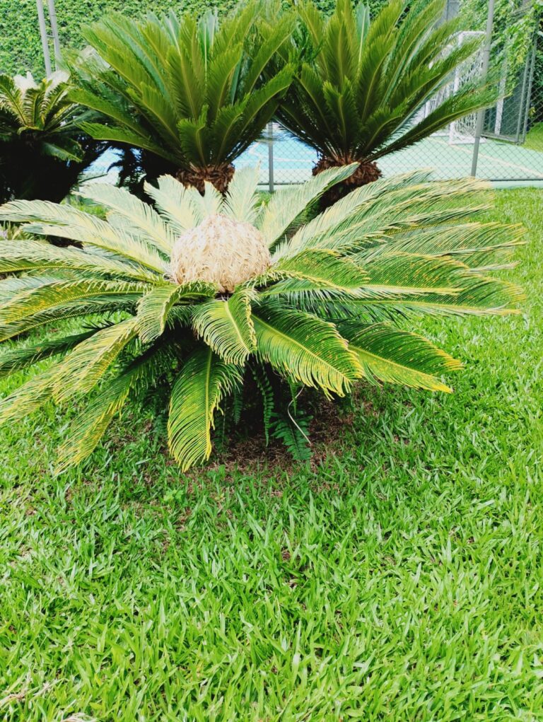 WhatsApp Image 2026-02-23 at 13.20.00