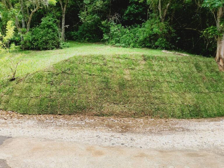 WhatsApp Image 2026-02-23 at 13.20.09